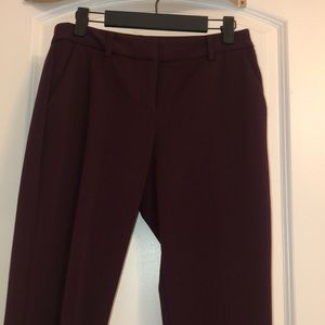 Express Burgendy Dress Pants